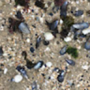 Meet your Posher, Tessa